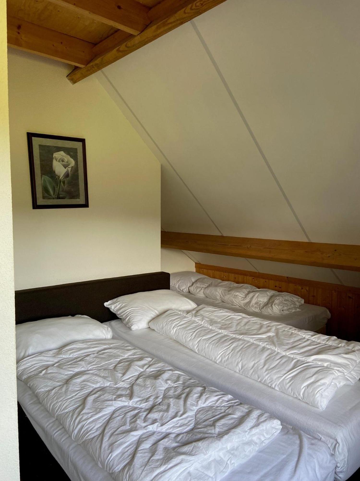 Hotel & Lodges Erve Bruggert Хааксберген Екстериор снимка